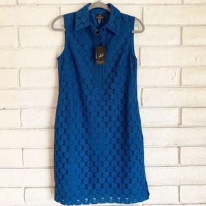Adrianna Papell Indigo dot lace dress.